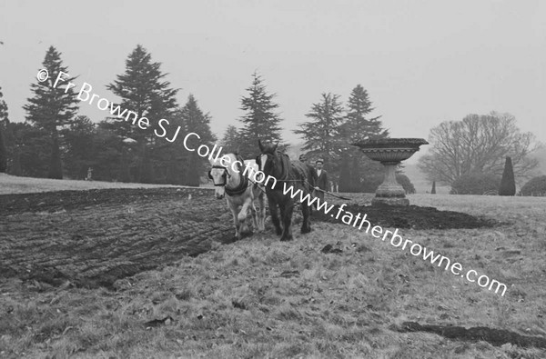 FIRST PLOUGHING OF GARDEN